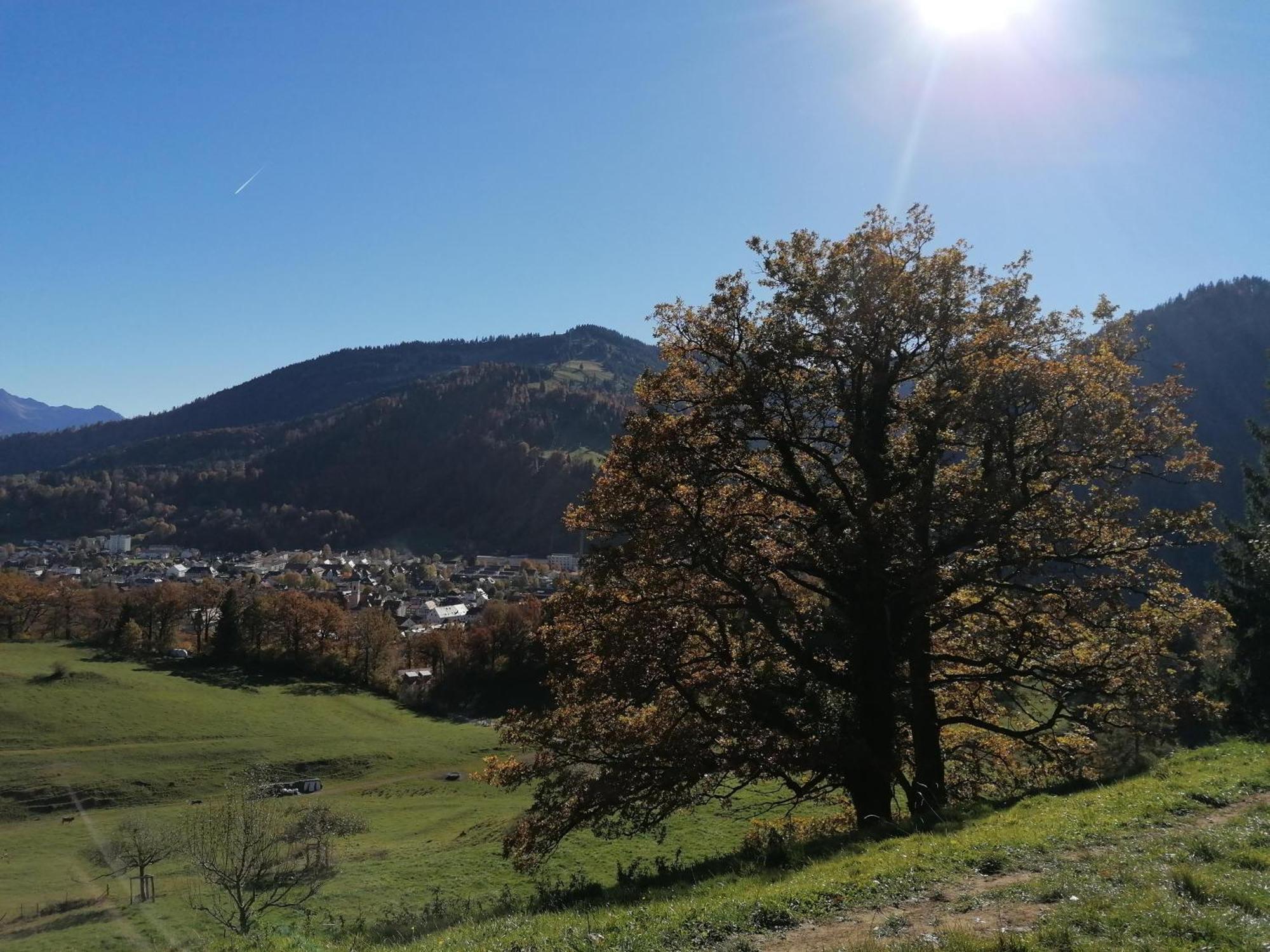 Landhaus Auf Der Hoeh Immenstadt im Allgäu Extérieur photo